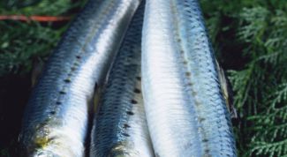 Картинка по теме - как замариновать сельдь