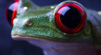 Картинка по теме - как лечить покраснение глаз