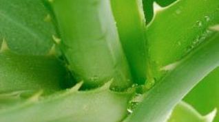 Картинка по теме - как лечить атрофический гастрит