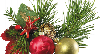 Картинка по теме - как встречать рождество дома