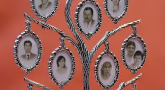 Картинка по теме - как сделать генеалогическое дерево