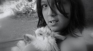 Картинка по теме - как купать декоративного кролика