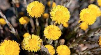 Картинка по теме - как избавиться от жировика на голове