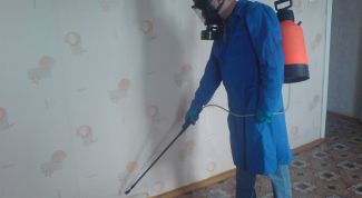 Картинка по теме - как вывести клопа постельного