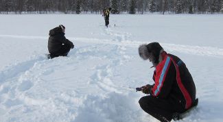 Картинка по теме - как ловить сига зимой