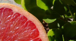 Картинка по теме - как есть помело