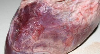 Картинка по теме - как варить свиное сердце