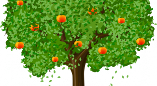 Картинка по теме - как рисовать растения