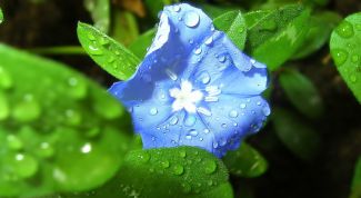 Картинка по теме - как делать фотографии hi класса