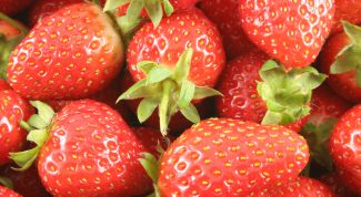 Картинка по теме - как вырастить клубнику зимой