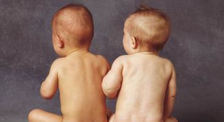 Картинка по теме - как кормить двойню
