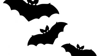 Картинка по теме - как сделать летучую мышь