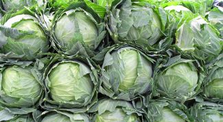 Картинка по теме - как выбрать капусту