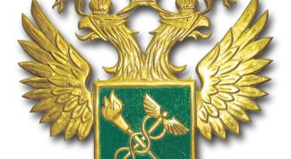 Картинка по теме - как устроиться на работу в налоговую