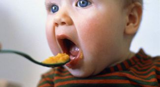 Картинка по теме - как вводить первый прикорм