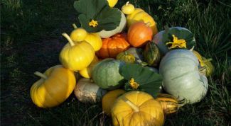 Картинка по теме - как заработать с огорода