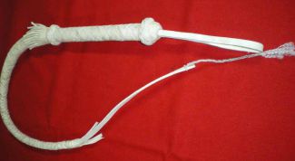 Картинка по теме - как сделать плеть