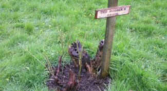 Картинка по теме - как узнать место захоронения