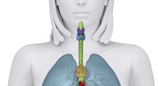 Картинка по теме - как лечить фиброз