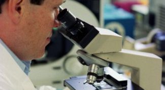 Картинка по теме - как создать лабораторию