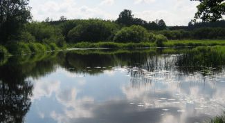 Картинка по теме - как арендовать пруд