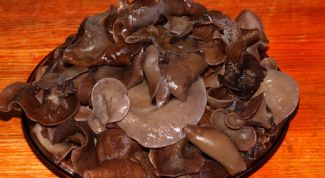 Картинка по теме - как готовить древесные грибы
