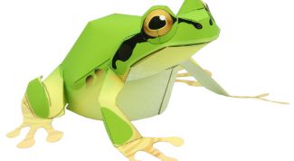 Картинка по теме - как сделать прыгающую лягушку из бумаги