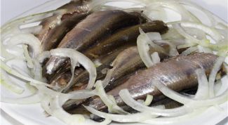 Картинка по теме - как солить кильку