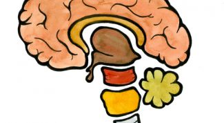 Картинка по теме - как лечить сосуды головы