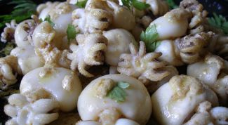 Картинка по теме - как готовить каракатиц