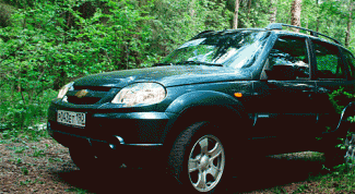 Картинка по теме - как убрать вибрацию на ниве