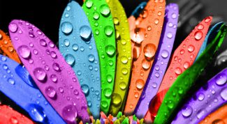 Картинка по теме - как делать заставки