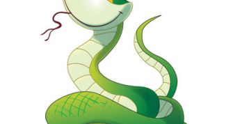 Картинка по теме - как нарисовать змею карандашом