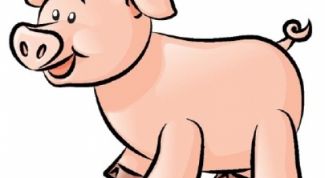 Картинка по теме - как нарисовать свинью