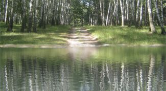 Картинка по теме - как сделать отражение в воде