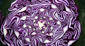 Картинка по теме - как нарезать капусту