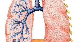 Картинка по теме - как очистить легкие