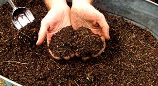 Картинка по теме - как приготовить компост