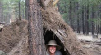 Картинка по теме - как построить шалаш в лесу