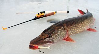 Картинка по теме - как привязать зимнюю блесну