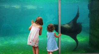 Картинка по теме - как сделать аквариумное хозяйство на 700 литров