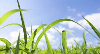 Картинка по теме - как улучшить плодородие почвы