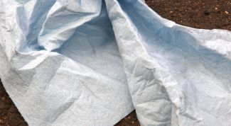 Картинка по теме - как натягивать на планшет бумагу