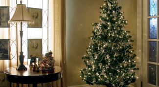 Картинка по теме - как организовать новый год дома