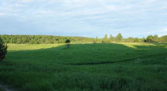 Картинка по теме - как оформить право собственности на землю