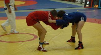 Картинка по теме - как научиться самбо