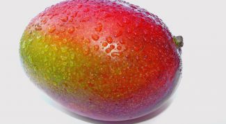 Картинка по теме - как определить спелость манго