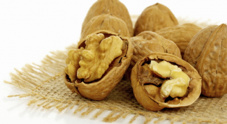 Картинка по теме - как проращивать орехи из семян