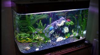 Картинка по теме - как проверить жесткость воды