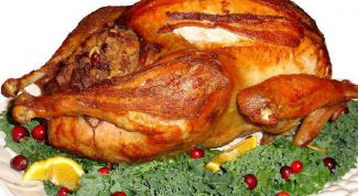 Картинка по теме - как приготовить дикого гуся